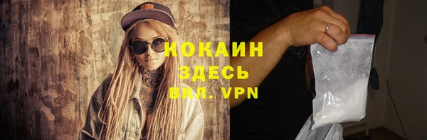 сатива Кулебаки