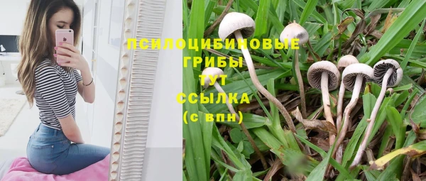 мескалин Куйбышев