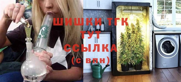 сатива Кулебаки