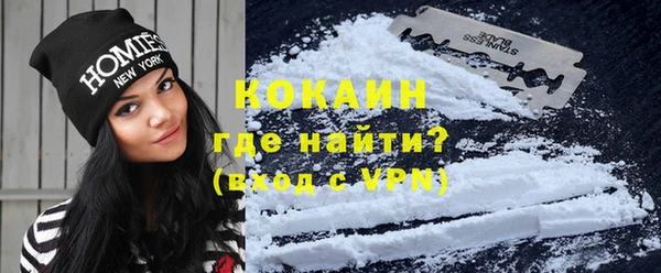 сатива Кулебаки