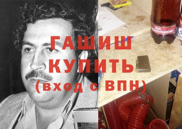 сатива Кулебаки