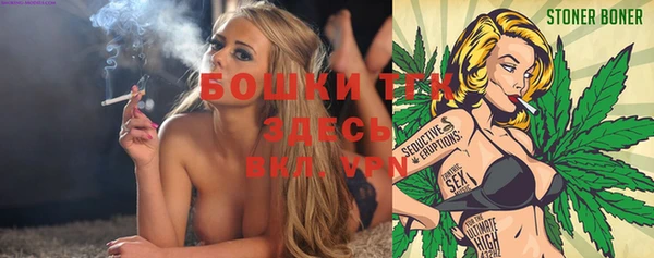 сатива Кулебаки
