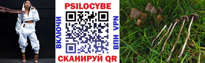 Псилоцибиновые грибы Psilocybine cubensis  магазин продажи наркотиков  Белоусово 